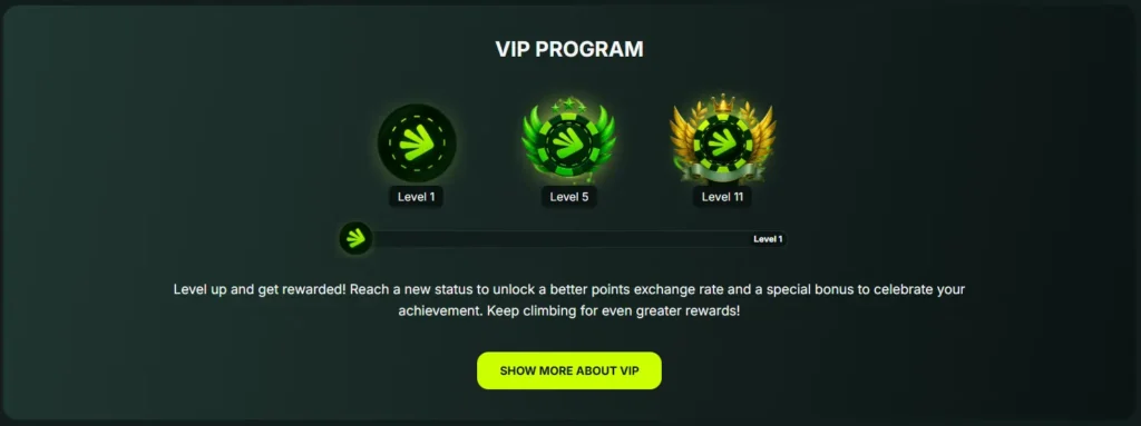 VIP Program at BetNjet Online Casino